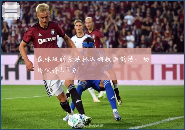 森林狼新秀迪林汉姆数据低迷，场均仅得3.7分