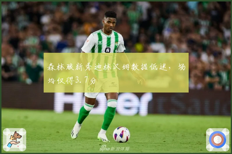 森林狼新秀迪林汉姆数据低迷，场均仅得3.7分